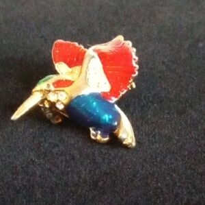 Colorful Bird Brooch